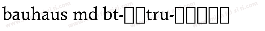 bauhaus md bt-常规tru字体转换